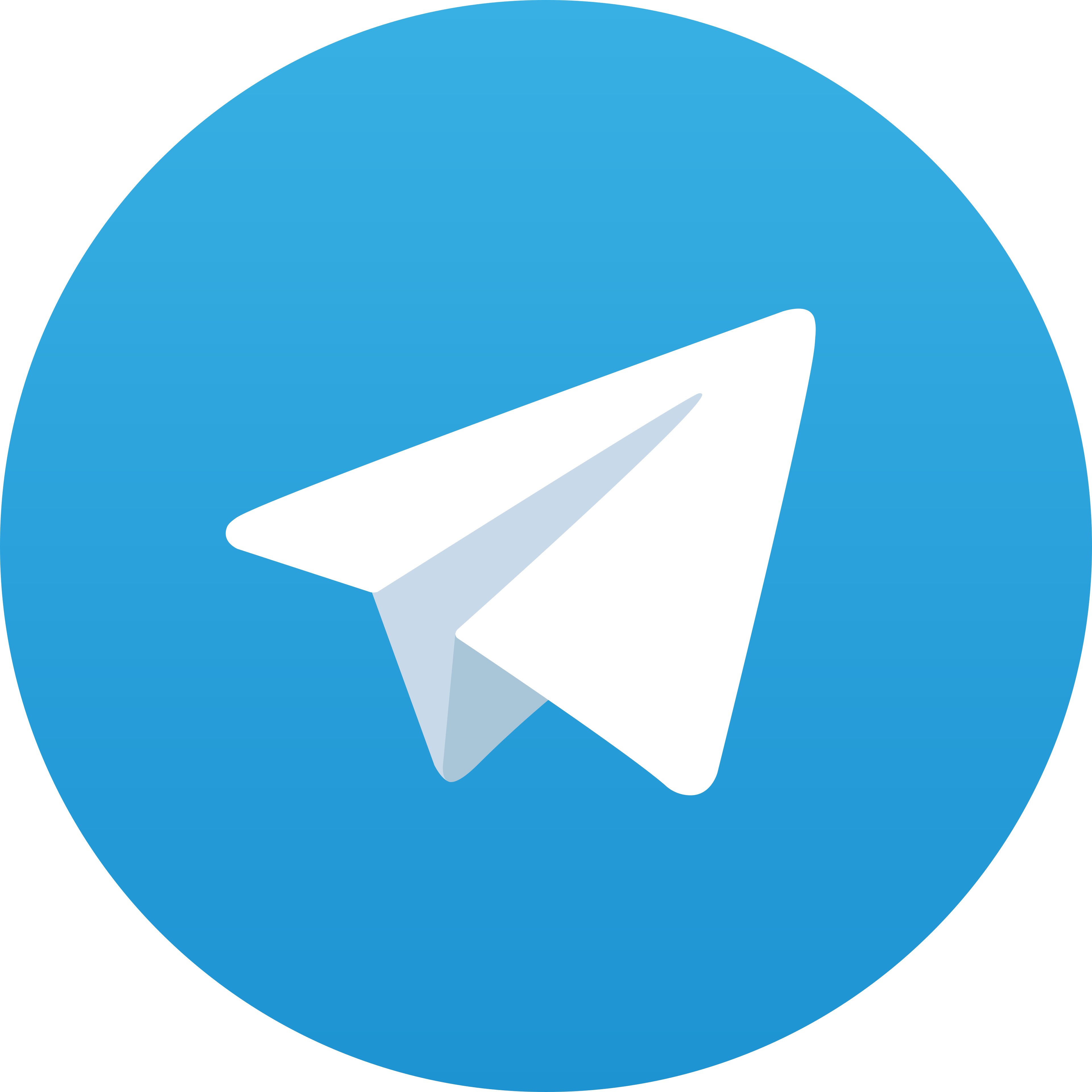Telegram Gogo4D